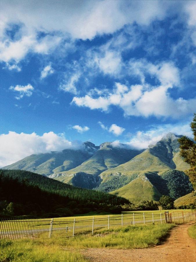 Bergview Guesthouse Swellendam Buitenkant foto